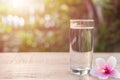 Glass of clear water and pink chinese rose flower on table with Royalty Free Stock Photo