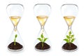 Glass clocks With sprouts, coins. Vector Royalty Free Stock Photo