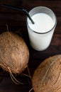 A glass of coconut milk and two whole coconuts. Royalty Free Stock Photo