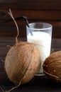 A glass of coconut milk and two whole coconuts. Royalty Free Stock Photo