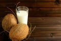 A glass of coconut milk and two whole coconuts. Royalty Free Stock Photo