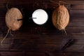 A glass of coconut milk and two whole coconuts. Royalty Free Stock Photo