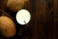 A glass of coconut milk and two whole coconuts. Royalty Free Stock Photo