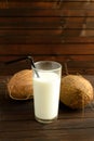 A glass of coconut milk and two whole coconuts. Royalty Free Stock Photo