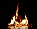 Glass of cognac in fire flame Royalty Free Stock Photo