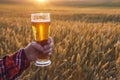 Glass of cold beer at sunset on the background of wheat field and blue sky. Summer landscape. Fresh brewed ale. Royalty Free Stock Photo