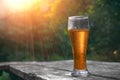 Glass of cold beer on the wooden table in sun rays at the nature background . Still life at sunset. Vacation and summer mood.