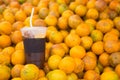 Glass of cold brew coffee on orange fruit background Royalty Free Stock Photo