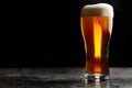 Glass of cold craft light beer on dark background