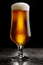 Glass of cold craft light beer on dark background Royalty Free Stock Photo