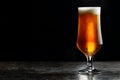 Glass of cold craft light beer on dark background Royalty Free Stock Photo