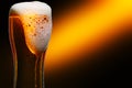 Glass of cold craft light beer on dark background. Royalty Free Stock Photo