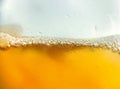 Glass with cold drink beer with condensation ice cool beverage background Royalty Free Stock Photo