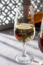Glass with cold fino sherry fortified wine in sunlights, andalusian style interior on background Royalty Free Stock Photo
