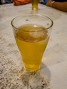 A Glass of cold fresh lager beer on a wooden bar counter in pub Royalty Free Stock Photo