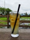 a glass of cold lemon tea with some ice cubes on a natural landscape background Royalty Free Stock Photo