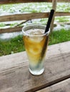 a glass of cold lemon tea with some ice cubes on a natural landscape background Royalty Free Stock Photo