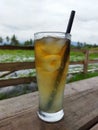 a glass of cold lemon tea with some ice cubes on a natural landscape background Royalty Free Stock Photo