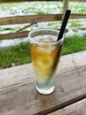 a glass of cold lemon tea with some ice cubes on a natural landscape background Royalty Free Stock Photo