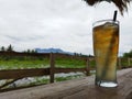 a glass of cold lemon tea with some ice cubes on a natural landscape background Royalty Free Stock Photo