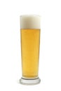 Glass of cold light beer Royalty Free Stock Photo