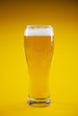 Glass of cold light beer Royalty Free Stock Photo