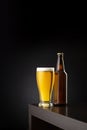 Glass of cold beer and a beer bottle on bar counter Royalty Free Stock Photo