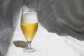 Glass with cold refreshing beer on a white background, in the art style. The concept of relaxation, bars and parties Royalty Free Stock Photo