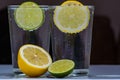 Glass with cold sparkling mineral water, lime and lemon Royalty Free Stock Photo