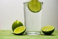 Glass with cold sparkling mineral water, lime and lemon Royalty Free Stock Photo