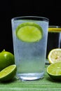 Glass with cold sparkling mineral water, lime and lemon Royalty Free Stock Photo