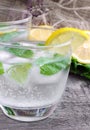 Glass of cold sparkling water with lemon and mint Royalty Free Stock Photo