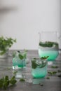 Glass of cold water with fresh mint leaves and ice cubes