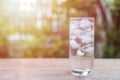 Glass of cold water with ice on table with blur nature garden Royalty Free Stock Photo