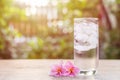 Glass of cold water with ice on table with blur nature garden Royalty Free Stock Photo