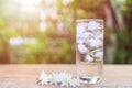 Glass of cold water with ice and white flower on table with blur Royalty Free Stock Photo