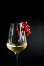 Glass of cold white wine Royalty Free Stock Photo