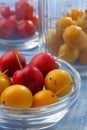 Glass containers filled by yellow and red mirabelle plums