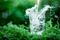 A glass of cool fresh water on natural green background