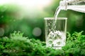 A glass of cool fresh water on natural green background