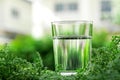 a glass of cool fresh water on natural green background Royalty Free Stock Photo