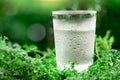 a glass of cool fresh water on natural green background Royalty Free Stock Photo