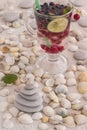 Glass with a cooling drink of berries and ice. Misted glass. Air bubbles on glass. A slice of lemon on a plate on the background Royalty Free Stock Photo