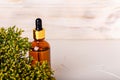 Cosmetic amber bottle with plant on light background