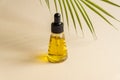 A glass cosmetic bottle with a dropper on a grey background with palm leaves. Natural cosmetics concept, natural essential oil Royalty Free Stock Photo