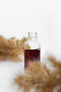 Glass cosmetic bottle with oil on white background with reeds.