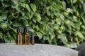 Glass cosmetic bottles on stone against green leaves