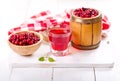 Glass of cranberry juice with fresh berries Royalty Free Stock Photo