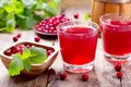 Glass of cranberry juice with fresh berries Royalty Free Stock Photo