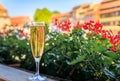 Glass of Cremant sparkling wine, flowers in the background in Strasbourg, France Royalty Free Stock Photo